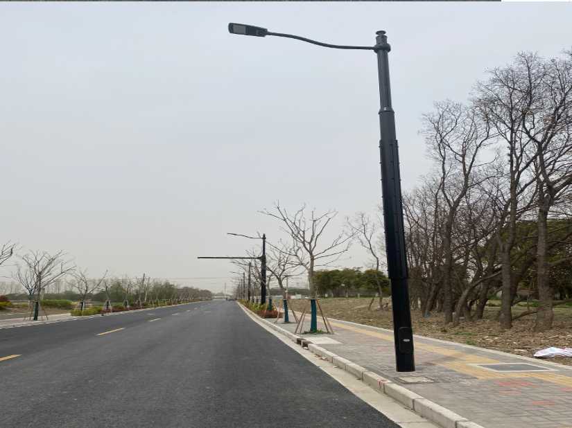 岳阳县上海综合杆 太阳能路灯工程